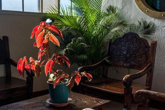 Hotel Encanto Del Sur 南圣胡安 外观 照片